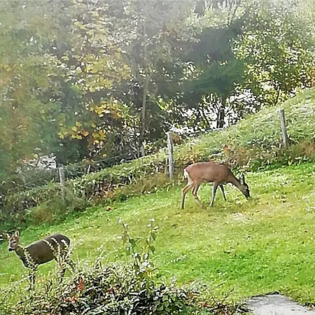 Haus Traunsee-blick By Interhome