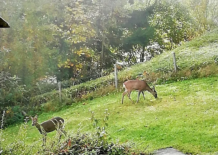 Haus Traunsee-blick By Interhome