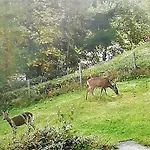 Haus Traunsee-blick By Interhome